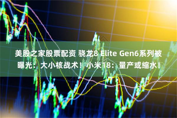 美股之家股票配资 骁龙8 Elite Gen6系列被曝光：大小核战术！小米18：量产或缩水！